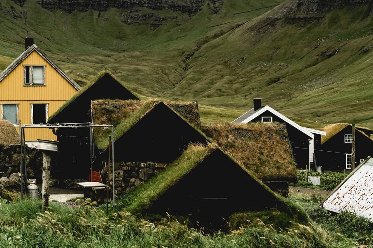 BookNoFees example image: Traditional low houses with grass-covered roofs