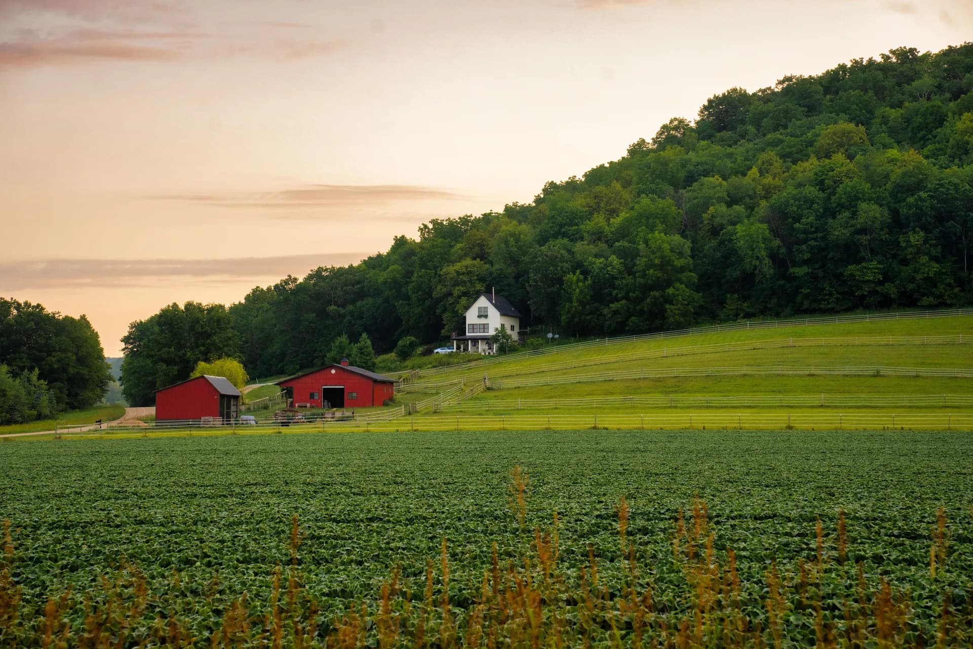 BookNoFees sample image: Red barns among fields and wooded hills