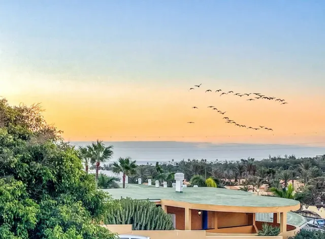 BookNoFees: House with an Ocean View in Costa Calma – Costa Calma, Fuerteventura