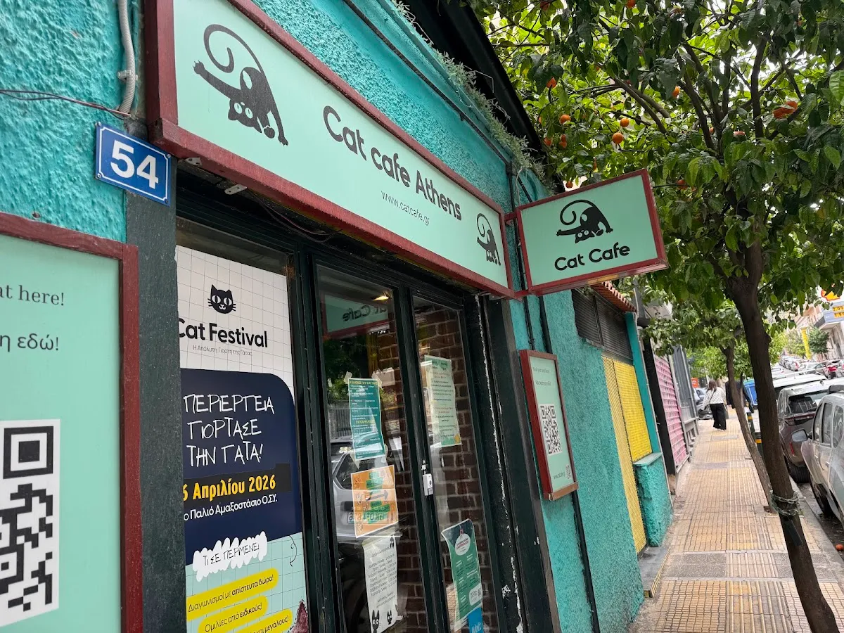 BookNoFees: Café – Cat Cafe Athens – Athens – Cat Cafe Athens, photo 1