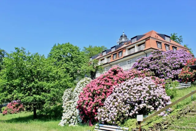 BookNoFees: "Nature and Art" Vacation Rental, Dresden, Saxon Switzerland – Dresden