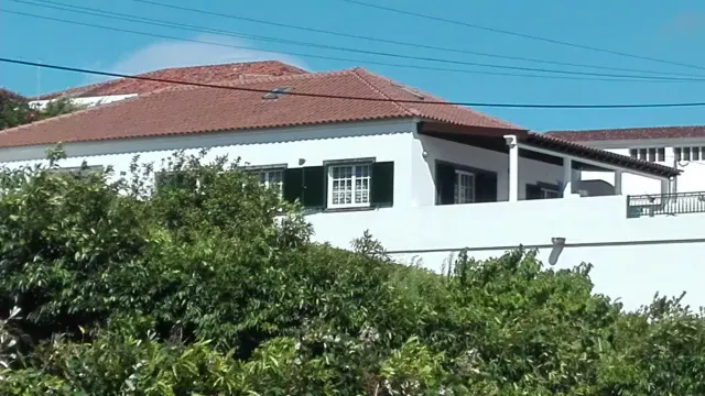 BookNoFees: Entire house in São Miguel island – Ribeira Chã