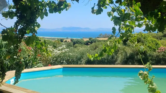 BookNoFees vacation rental in Tarifa – Pool with wooden deck and sea view through grapevines