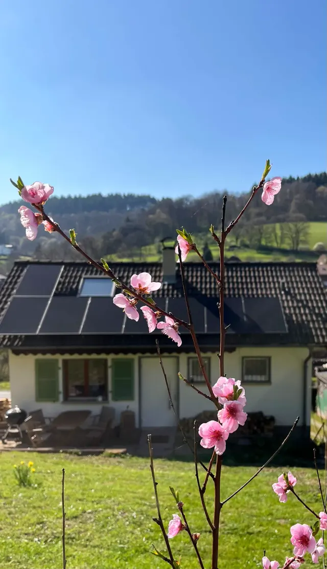 BookNoFees: Allemühl Vacation Home—a house all to yourselves! – Allemühl