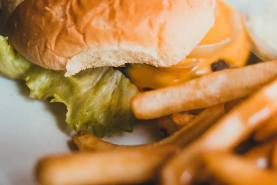 BookNoFees: Halimbawa ng larawan: Hamburger